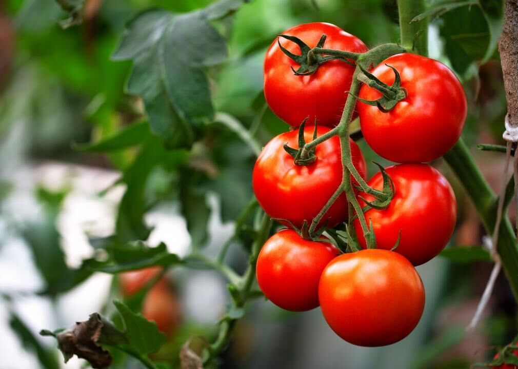 #3. Tomatoes